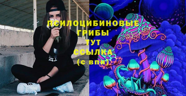 дживик Переславль-Залесский