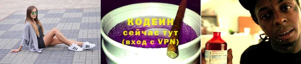 индика Пестово
