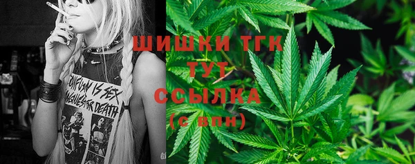 ПСИЛОЦИБИНОВЫЕ ГРИБЫ Аркадак
