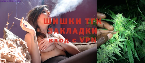 ПСИЛОЦИБИНОВЫЕ ГРИБЫ Аркадак