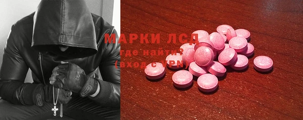 ПСИЛОЦИБИНОВЫЕ ГРИБЫ Аркадак